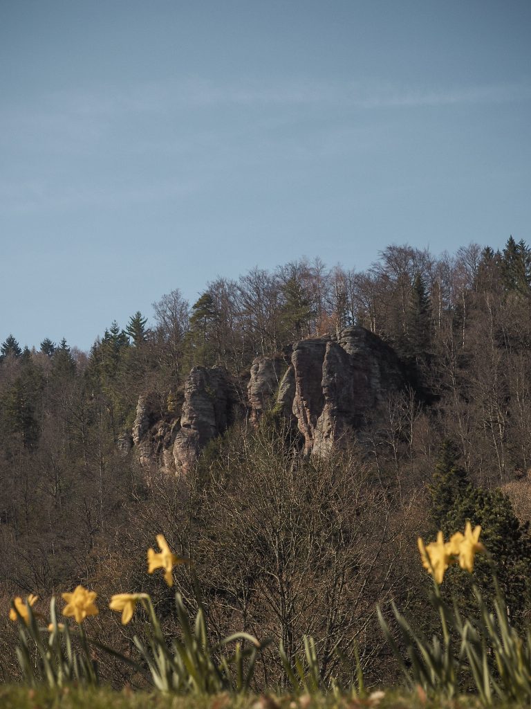 Schwarzwald Klettern in Bad Herrenalb Lisann Jenrich