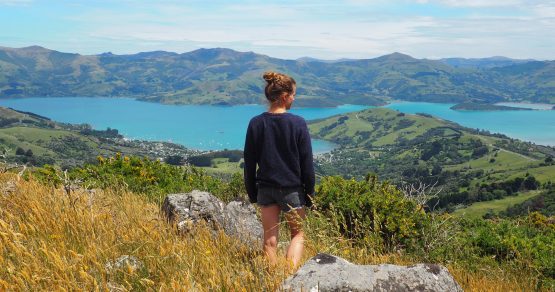 South Island – meine ungeplanten Ausflüge